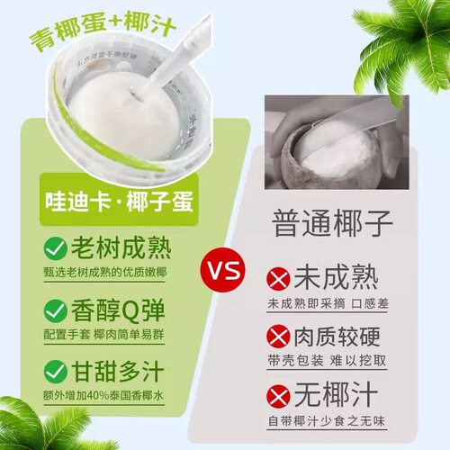 哇迪卡椰子蛋俏皮网红半成品泰国椰皇新鲜椰果椰汁椰肉两用桶装 - 图1