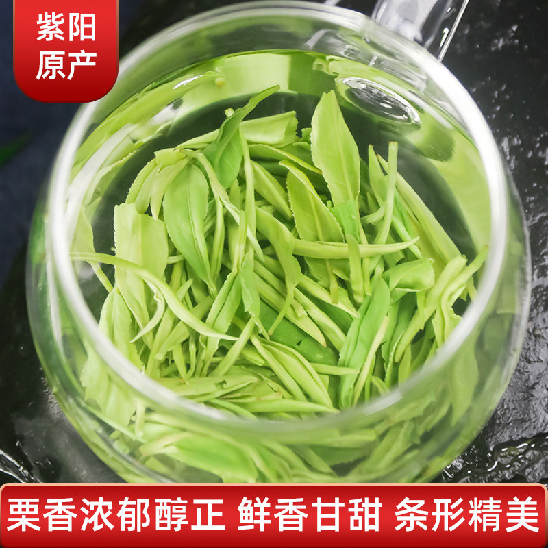 陕西安康绿茶2026新茶紫阳富硒茶叶陕南炒青毛尖春茶浓香明前500g