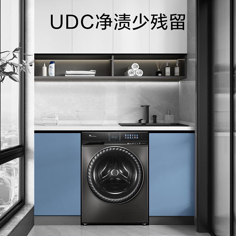  小天鹅冠美洗衣机