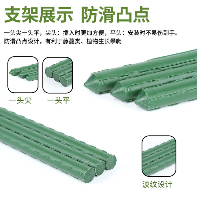 Outdoor grape trellis garden garden planting beans and cucumbers