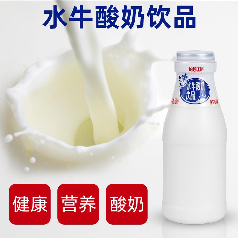 伯顿庄园水牛酸奶饮品益生菌发酵甜牛奶原味早餐奶整箱270m/瓶 - 图1