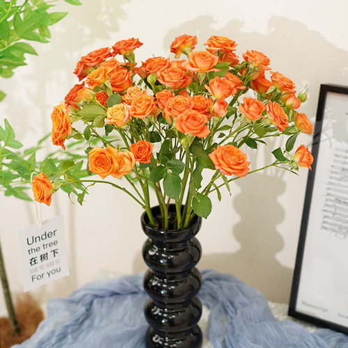 玫瑰花鲜花百合康乃馨山东基地直发顺丰包邮鲜切花插花水养真花 - 图3