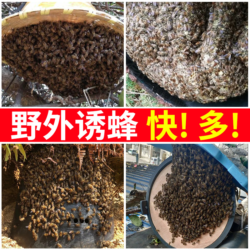 诱蜂膏神器野外诱蜜蜂中土蜂招蜂水新手养蜂专用强效诱蜂引蜂液 - 图3