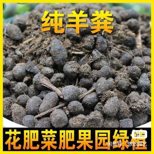 纯羊粪 发酵 有机肥颗粒通用盆栽花 植物种菜 多肉肥料专用 肥料 - 图3