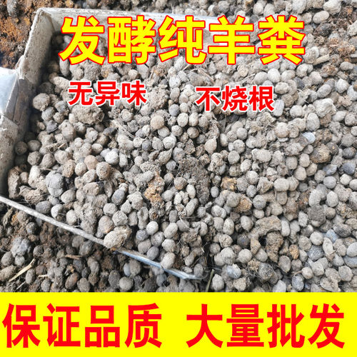 羊粪 发酵有机肥蔬菜种菜农家肥绿植家庭园艺专用营养 肥料纯颗蛋 - 图2