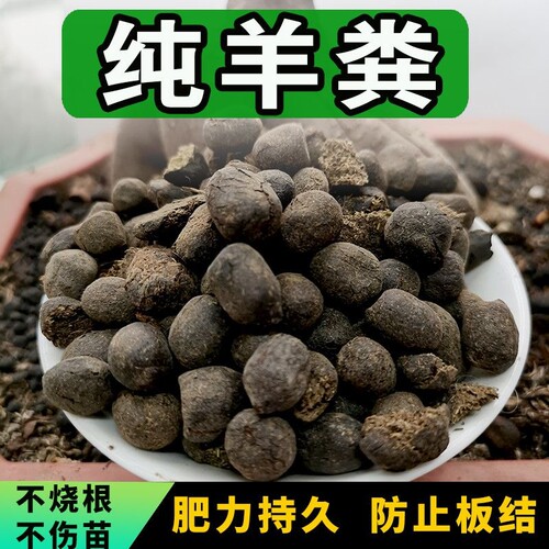 纯羊粪 发酵 有机肥颗粒通用盆栽花 植物种菜 多肉肥料专用 肥料 - 图0