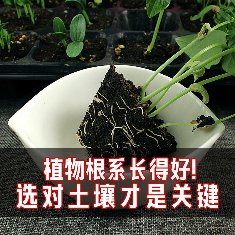 营养土养花通用型绿植专用种花土壤家用盆栽种菜多肉种植有机泥土 - 图2