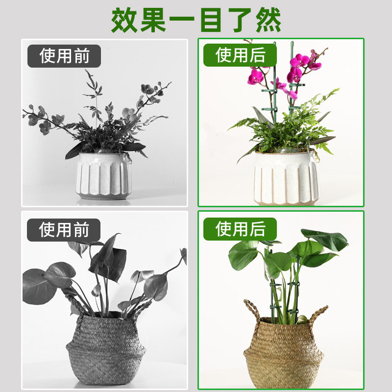植物支撑杆花支撑架龟背竹花架月季园艺花卉支架固定防倒伏花架子,淘宝优惠券,粉丝福利购,淘宝优惠卷