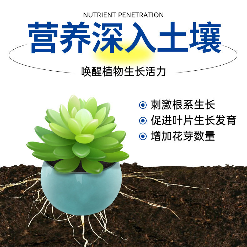 多肉营养液专用肥料植物盆栽花卉水溶肥通用液体肥增色剂生根上色,淘宝优惠券,粉丝福利购,淘宝优惠卷