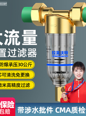前置过滤器家用全屋大流量反冲洗