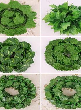 假花绿叶藤条吊顶装饰树叶仿真葡萄叶塑料绿萝藤蔓绿植水管道缠绕