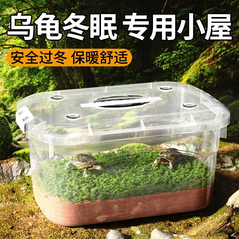乌龟冬眠饲养盒带盖透明守宫寄居蟹角蛙鬃狮蜥仓鼠爬宠动物冬眠箱,淘宝优惠券,粉丝福利购,淘宝优惠卷