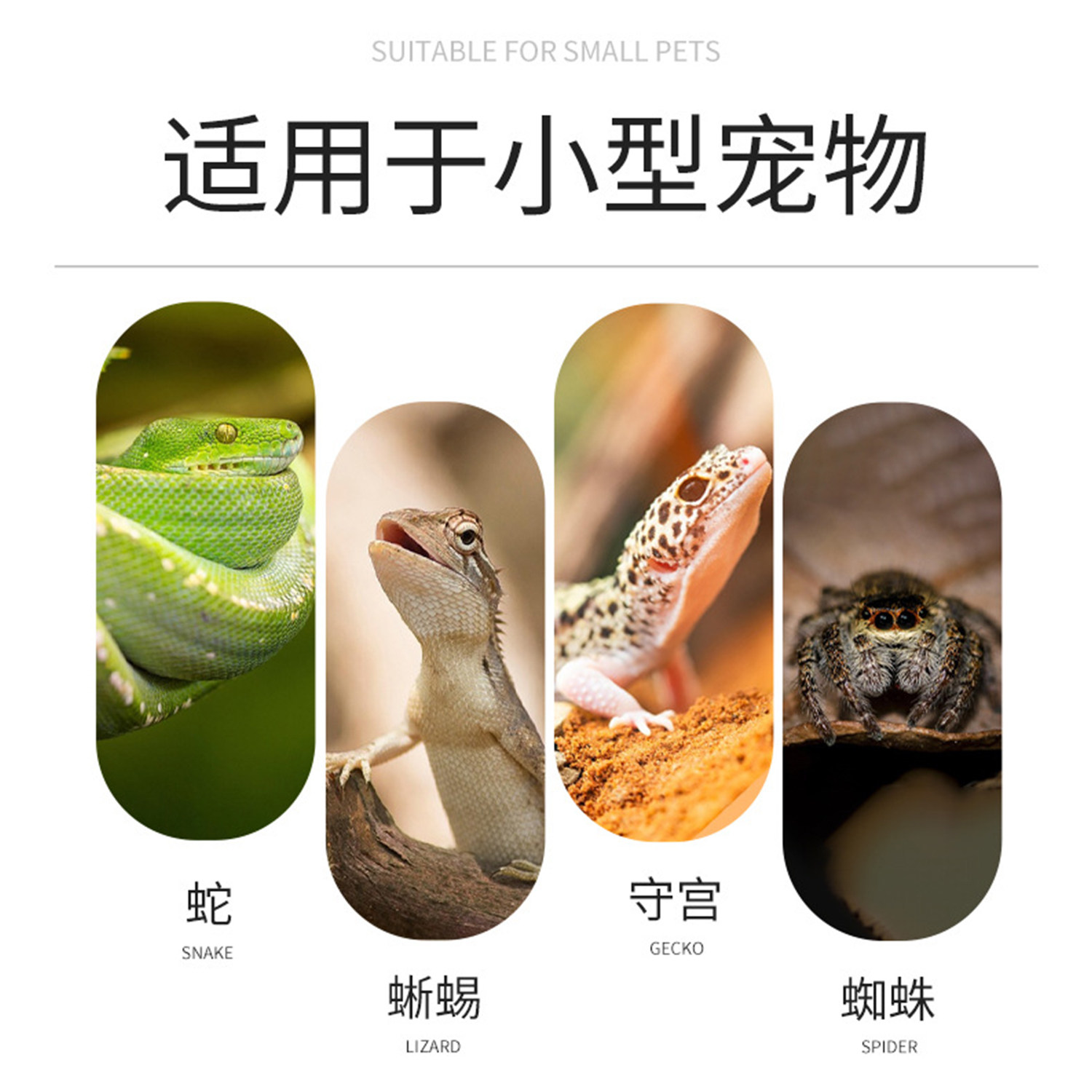 爬宠缸用品镊子温度计躲避树爬宠沙仿真植物食盆乌龟仓鼠蜥蜴专用,淘宝优惠券,粉丝福利购,淘宝优惠卷