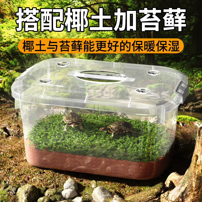 乌龟冬眠饲养盒带盖透明守宫寄居蟹角蛙鬃狮蜥仓鼠爬宠动物冬眠箱,淘宝优惠券,粉丝福利购,淘宝优惠卷