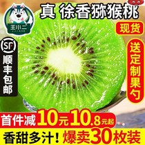 Shaanxi Brow County Xu Xiangqi Exotic Fruits Fresh Fruit Chisomum Macaque Peach Green Hearts When Season Full Box Mans Monkey Peach