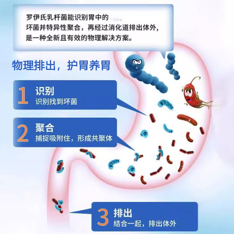 口臭调理肠胃益生菌养胃粉修复胃肠道抗双歧杆菌非幽门四联特效药 - 图1