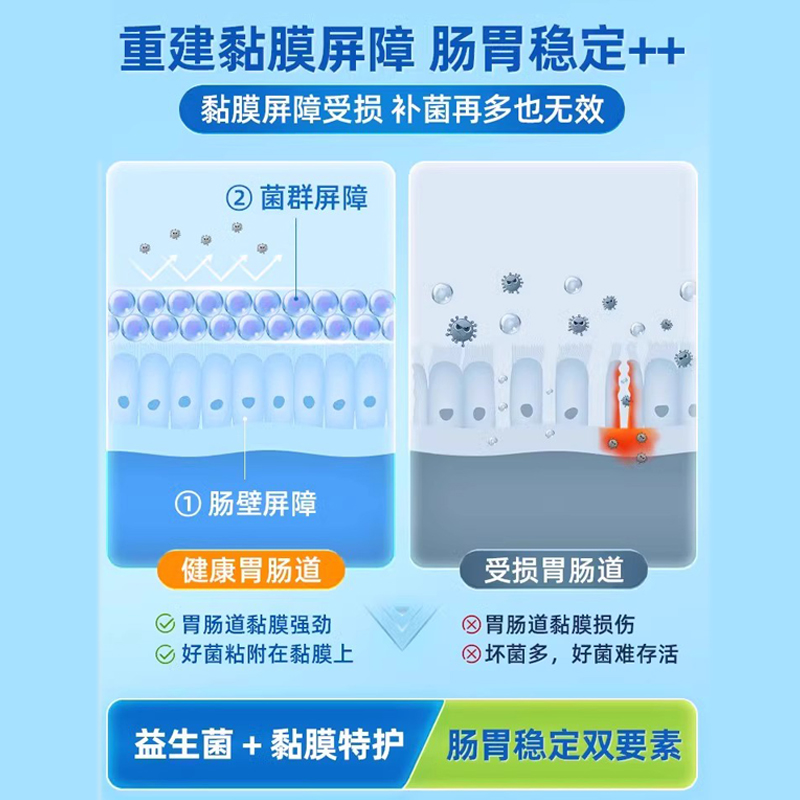 舒伯特益生菌养胃粉孕妇调理肠胃便秘胀气瘦子菌正品官方旗舰店 - 图0