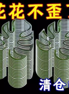 龟背竹支撑杆花架枝干收