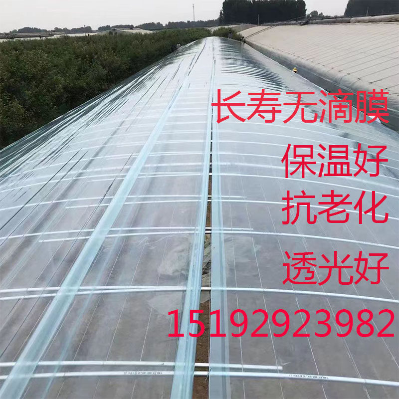 进口加厚种植蔬菜大棚膜高透光po膜无滴膜抗老化养殖全新料塑料布