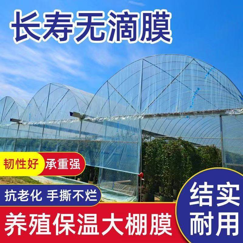 进口大棚膜蔬菜保温加厚无滴膜PO膜透明塑料薄膜抗老化养殖黑白膜,淘宝优惠券,粉丝福利购,淘宝优惠卷