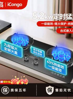 志高iCongo燃气灶双灶家