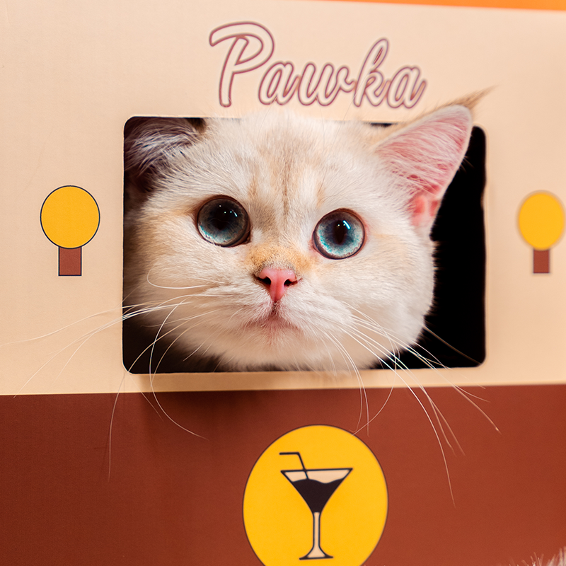 PAWKA泡咔夜店猫窝耐磨瓦楞纸猫咪玩具猫抓板磨爪器AKOMA联名款-图0