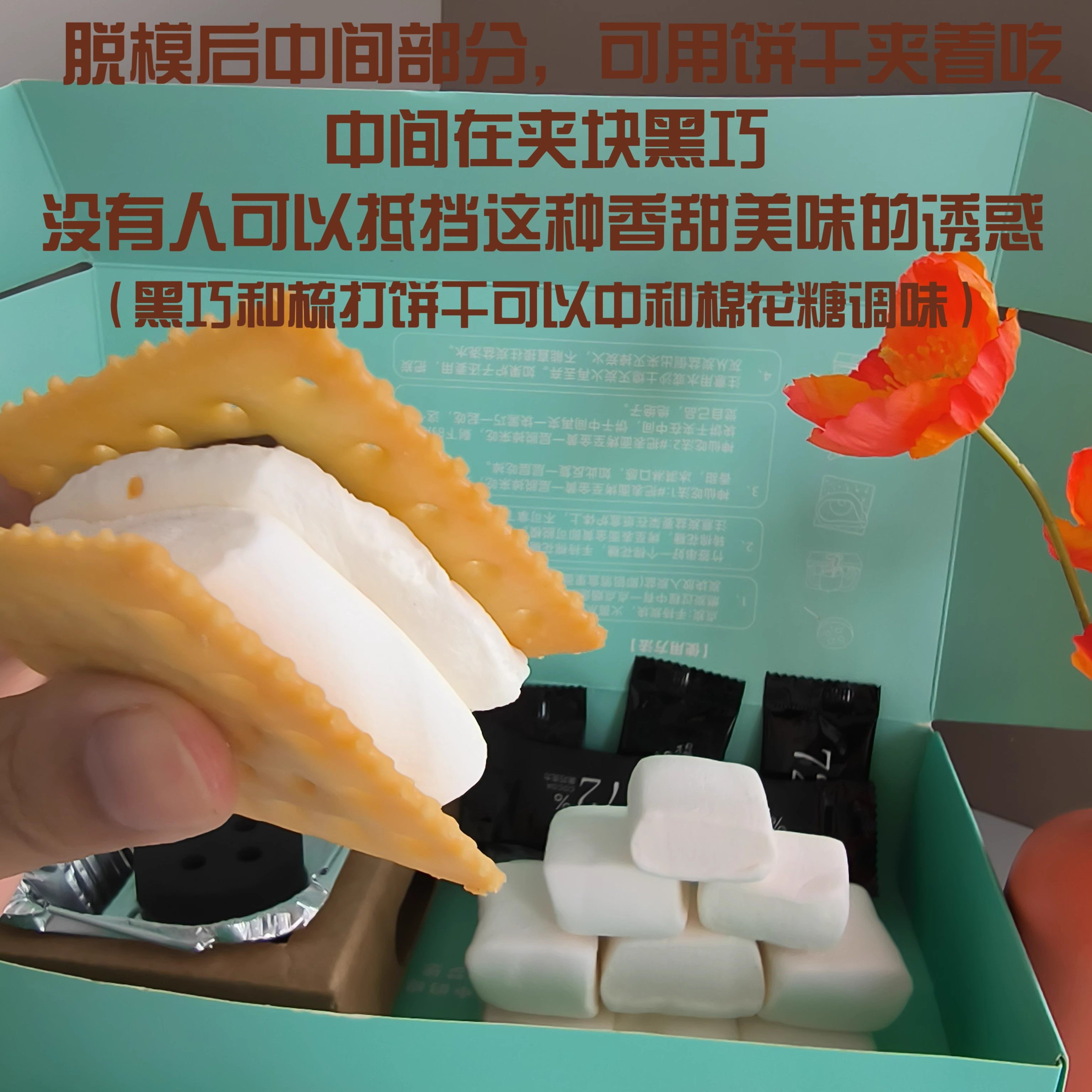 自嗨炉炭烤棉花糖自制手工diy爆款零食围炉碳烧烤棉花糖可以烤的,淘宝优惠券,粉丝福利购,淘宝优惠卷