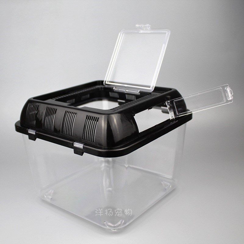 透明塑料金鱼缸开放式手提透气乌龟饲养盒黑盖宠物运输盒外带家用,淘宝优惠券,粉丝福利购,淘宝优惠卷