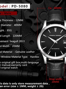 PAGANI DESIGN 2020 New Men's Classic Mechanical Watches