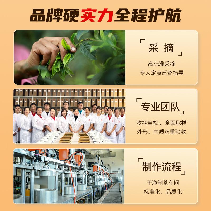 【新品】茶妈妈手冲普洱熟茶速溶茶便携独立包装挂耳袋泡茶包40g