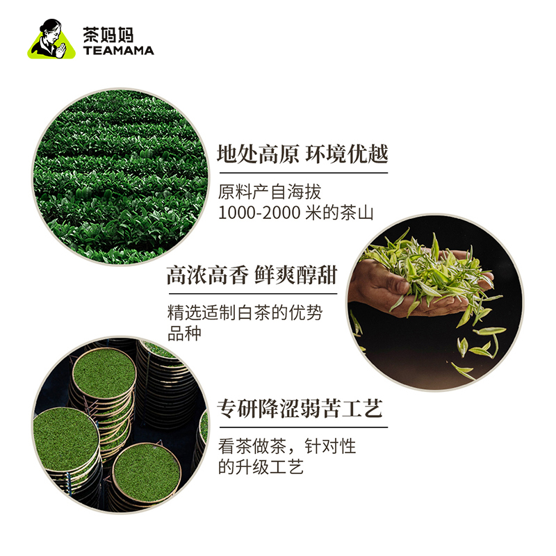 茶妈妈云南白牡丹白茶白玉玲珑+高山贡眉+陈皮白茶茶叶试喝品鉴装-图1