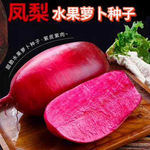 凤梨水果萝卜种子四季播种易种脆甜多汁红皮萝卜盆栽蔬菜种子 - 图3