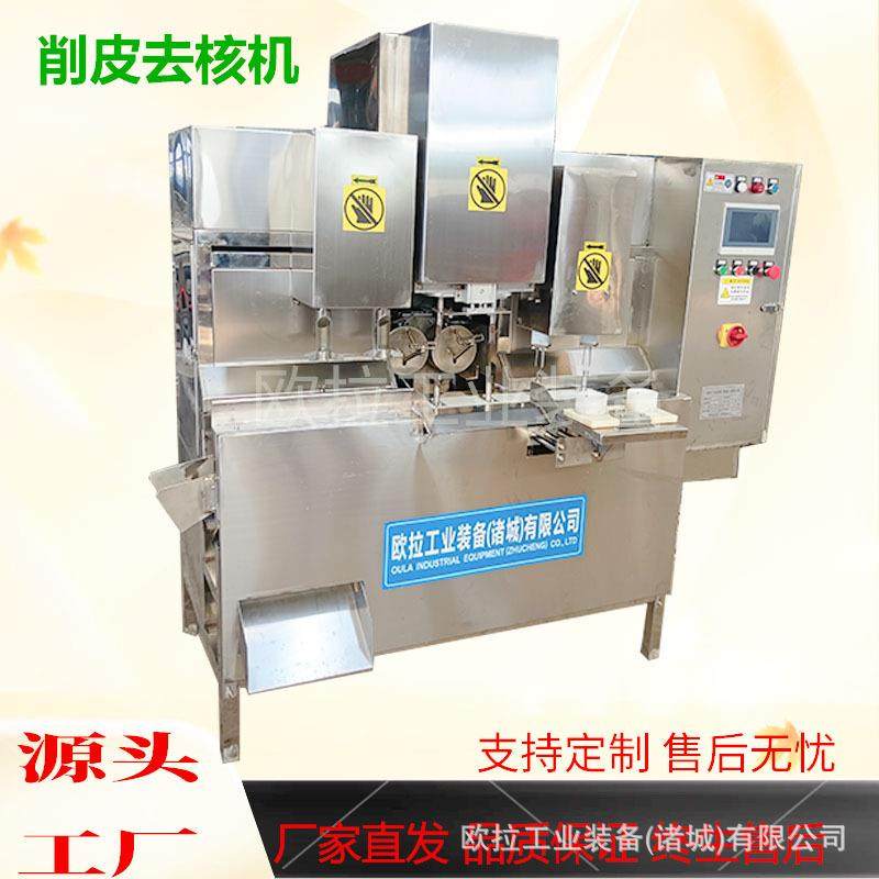 全自动去核加工生产线商用雪梨去皮去核分瓣机柠檬削皮设备,淘宝优惠券,粉丝福利购,淘宝优惠卷