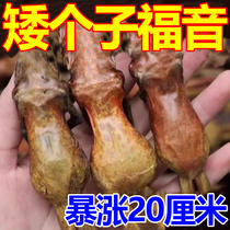 Short for special) heightening with long high theorizer short sub new technology to turn 4-20 cm heightening insole YN