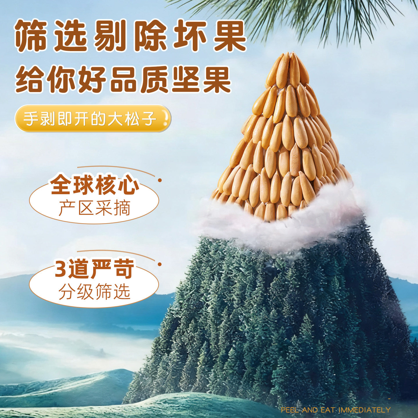 杭之淘巴西松子2025新货手剥松子大颗粒阿富汗特产级年货零食坚果,淘宝优惠券,粉丝福利购,淘宝优惠卷