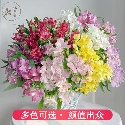 水仙百合六初花直发香水百合花