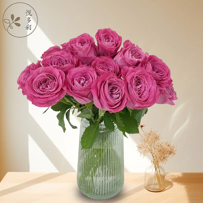 AB级玫瑰康乃馨鲜花云南基地直发