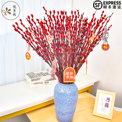 20支真枝银柳+5个新年挂件【顺丰稍贵】