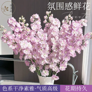 悦多彩AB级大飞燕鲜花速递