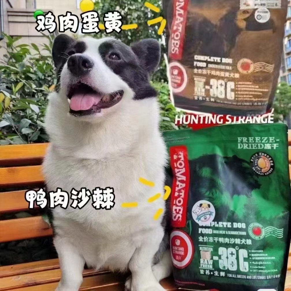 临期冻干狗粮特价秒杀幼成犬通用型自然馈赠顽皮豆柴比乐狗粮通用,淘宝优惠券,粉丝福利购,淘宝优惠卷