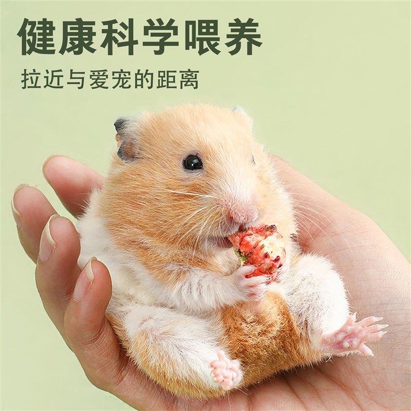 速发养小仓鼠的生活用品大全套装浴全金丝熊粮沙木屑齐食过冬保暖,淘宝优惠券,粉丝福利购,淘宝优惠卷