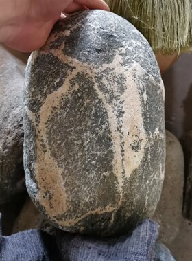 速发镇宅石石观赏石  原石未加工发 货带不 木座