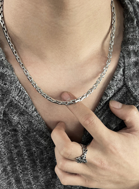 新款龙鳞钛钢简约锁骨链