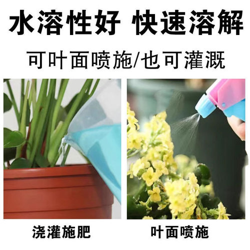 花多多1号2号12号通用型肥料花朵朵一号二号月季多肉水溶肥促开花 - 图3