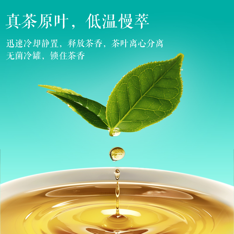 （预售）新品首发茶粹无糖茶茉莉花乌龙普洱茶0糖0卡包邮4瓶 - 图3