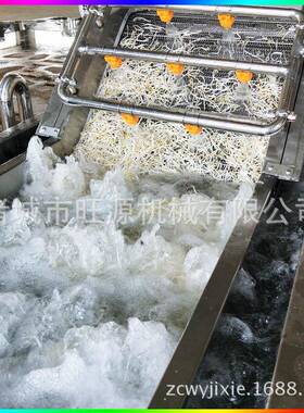 现货蔬菜喷淋气泡清洗机 商用藕片清洗机 大型龙须菜清洗设备
