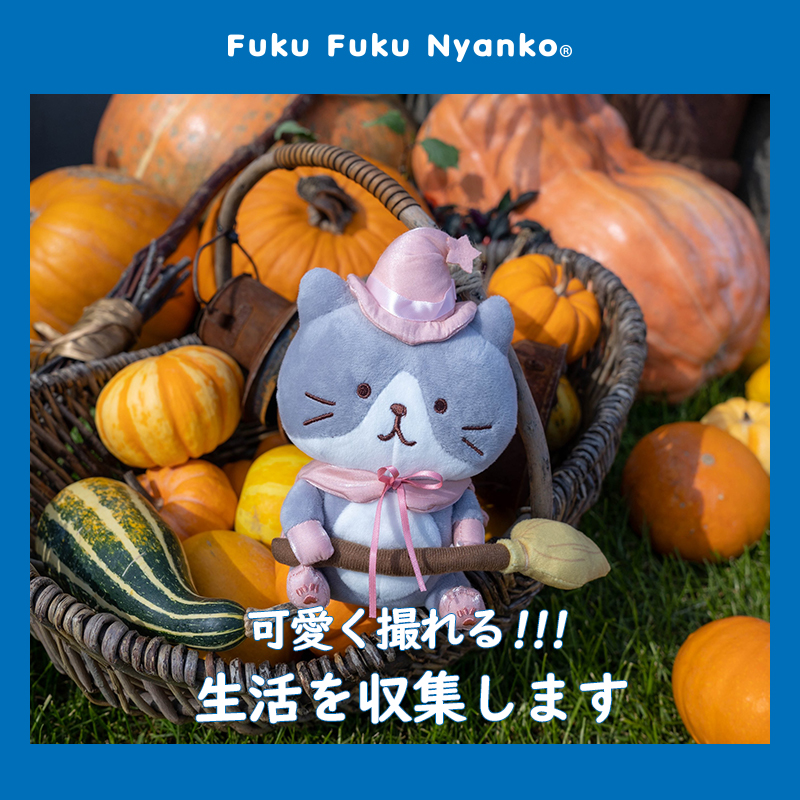 日本hapins魔法师系列礼物可爱猫猫玩偶女生小猫咪装饰娃娃送礼品 - 图1