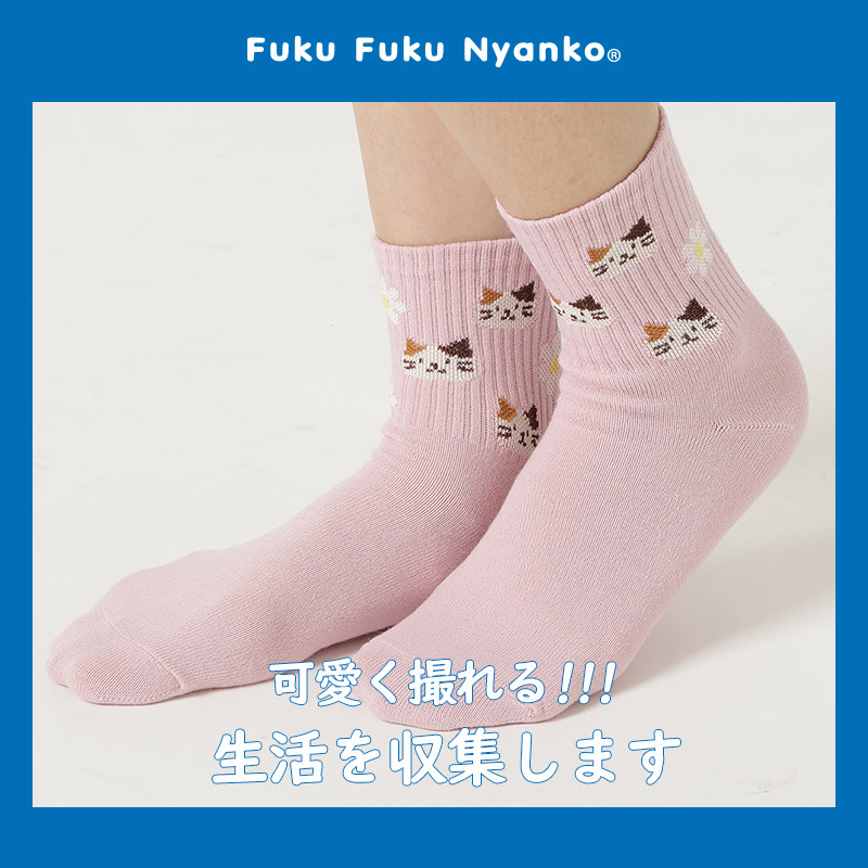 【雏菊猫咪中筒袜】HAPiNS可爱中筒袜透气秋冬季外穿可爱三花猫,淘宝优惠券,粉丝福利购,淘宝优惠卷