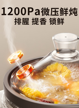 九阳紫砂电炖锅不扑锅500W微压炖