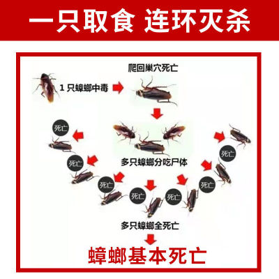 家用灭蟑螂药克星一窝全窝端扫净绝杀神器厨房强力非无毒喷雾剂